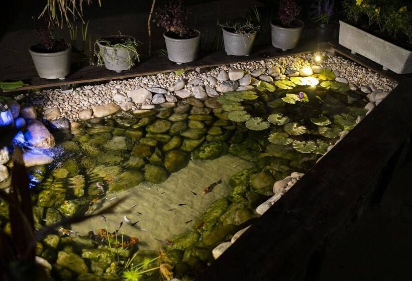 هتل Pousada Ceara  Porto Das Dunas