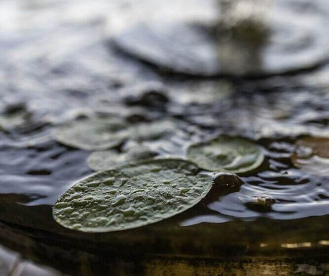 Отель Pousada Ceara  Porto Das Dunas