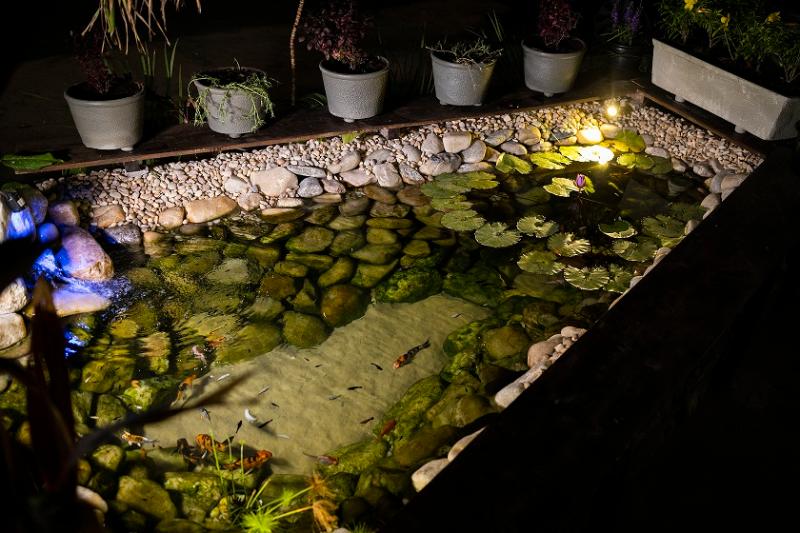 Отель Pousada Ceara  Porto Das Dunas