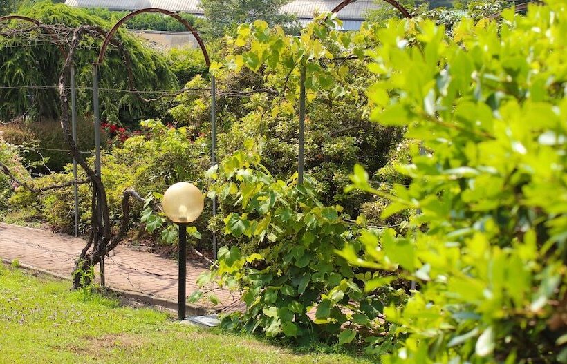 酒店 Residence Montelago