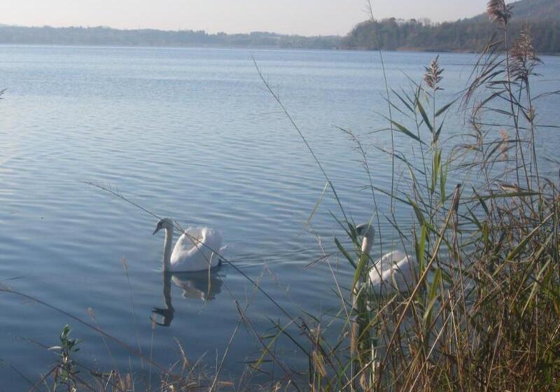 酒店 Residence Montelago