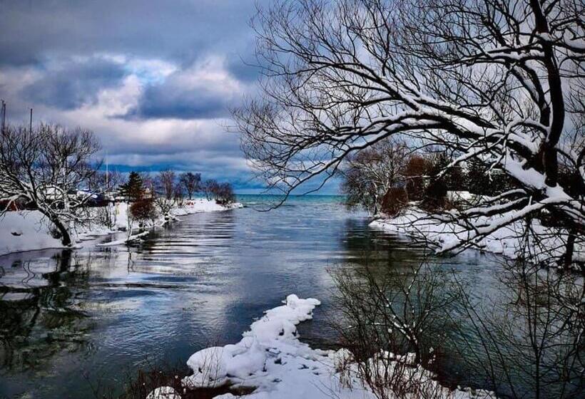 فندق Royal Harbour Resort