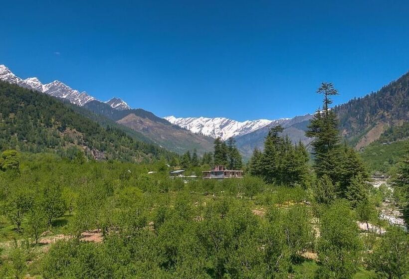 Отель Treebo Trend Celebriti Manali