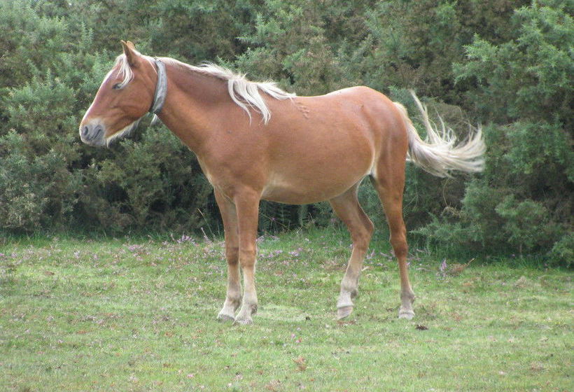 Leyland Country House