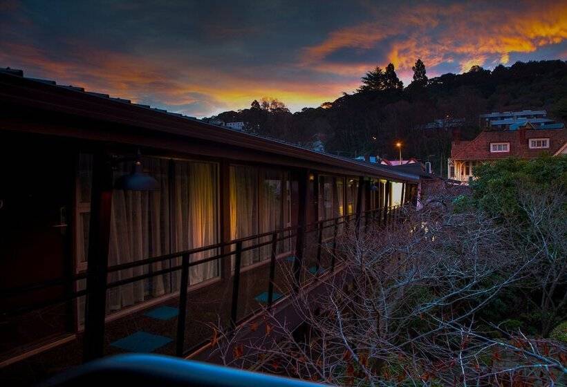 مُتل Aurora On George