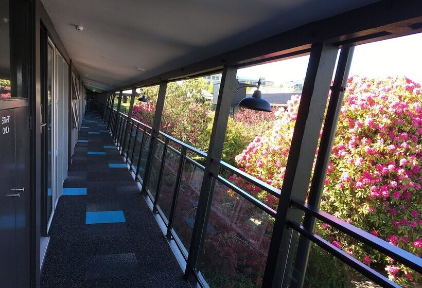 فندق على الطريق Aurora On George