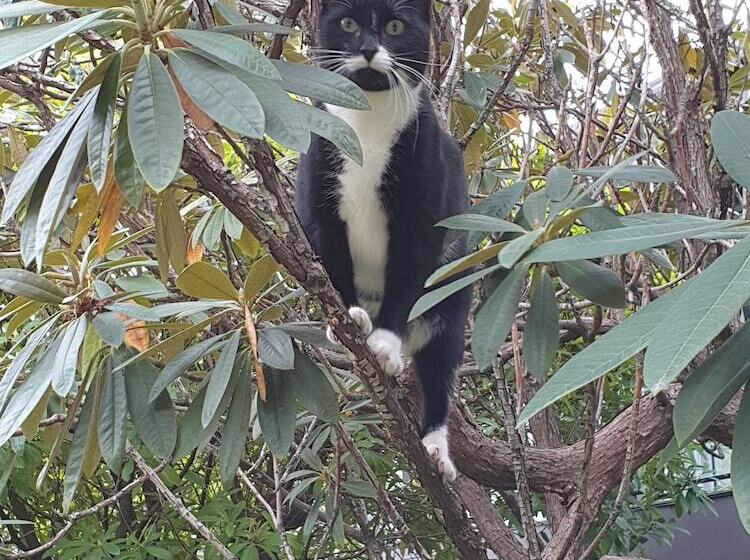 فندق على الطريق Aurora On George