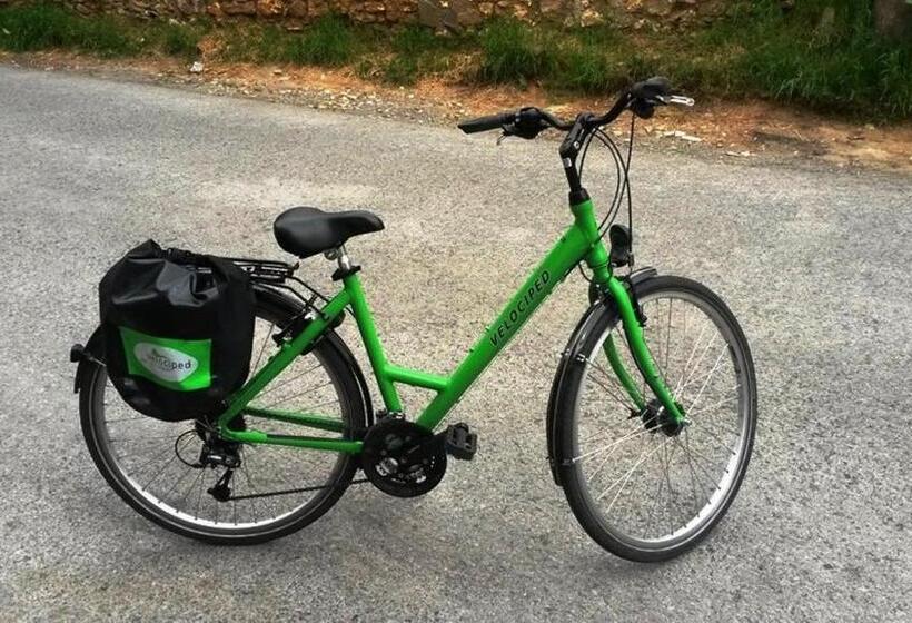 Palatino Rooms & Apartments