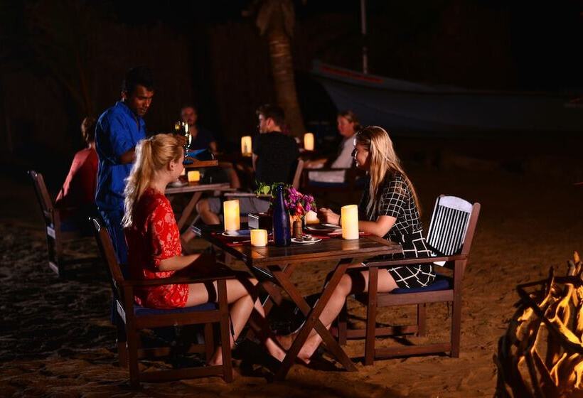 ペンション Dolphin Beach Resort