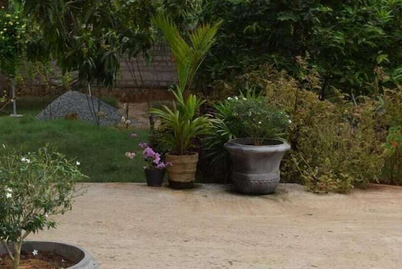 膳宿费 The Coconut Garden Hotel & Restaurant