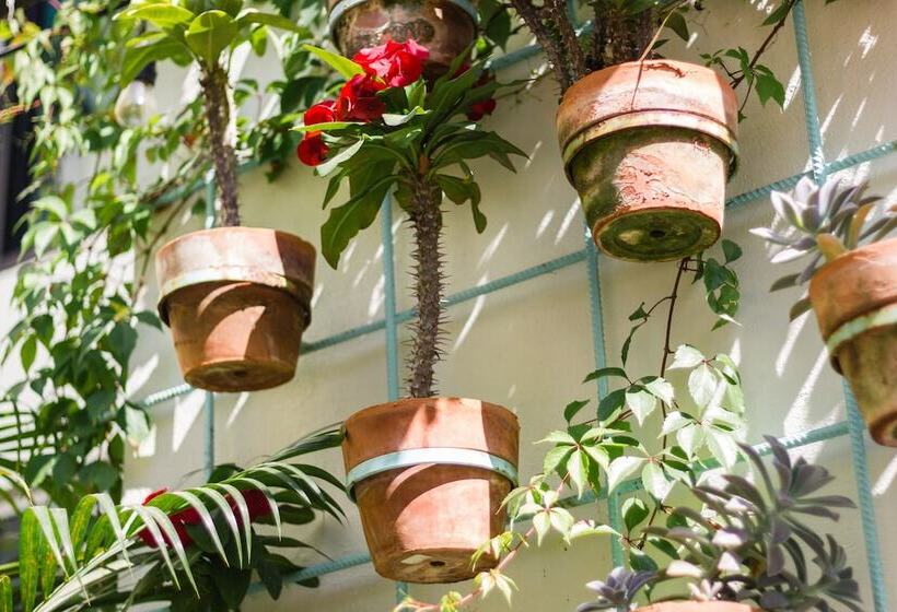 San Trópico Boutique Hotel & Peaceful Escape