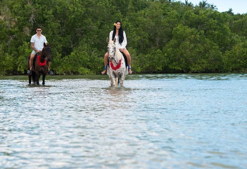 Sea Cliff Resort & Spa