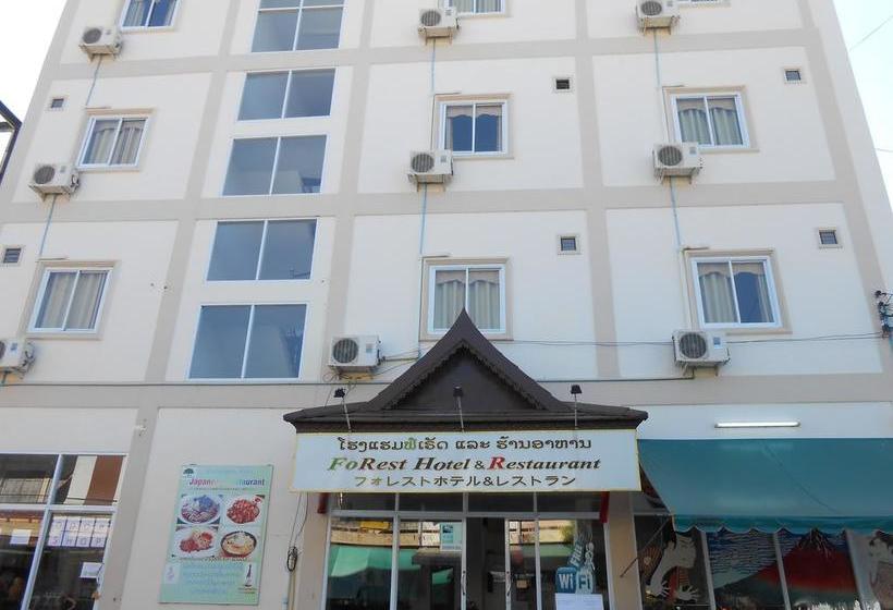 فندق صغير Forest