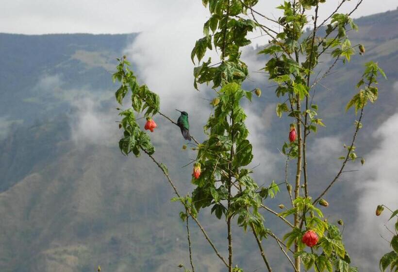 فندق فئة نجمة واحدة La Casa Amarilla