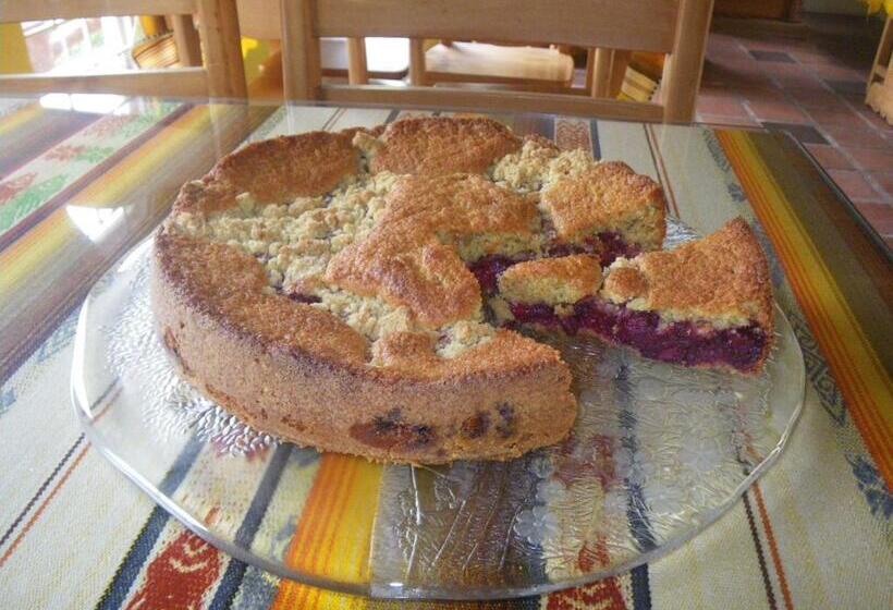 فندق فئة نجمة واحدة La Casa Amarilla