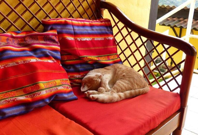 فندق فئة نجمة واحدة La Casa Amarilla