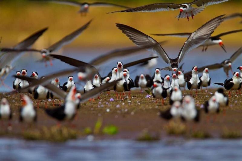فندق A Pousada Do Rio Mutum