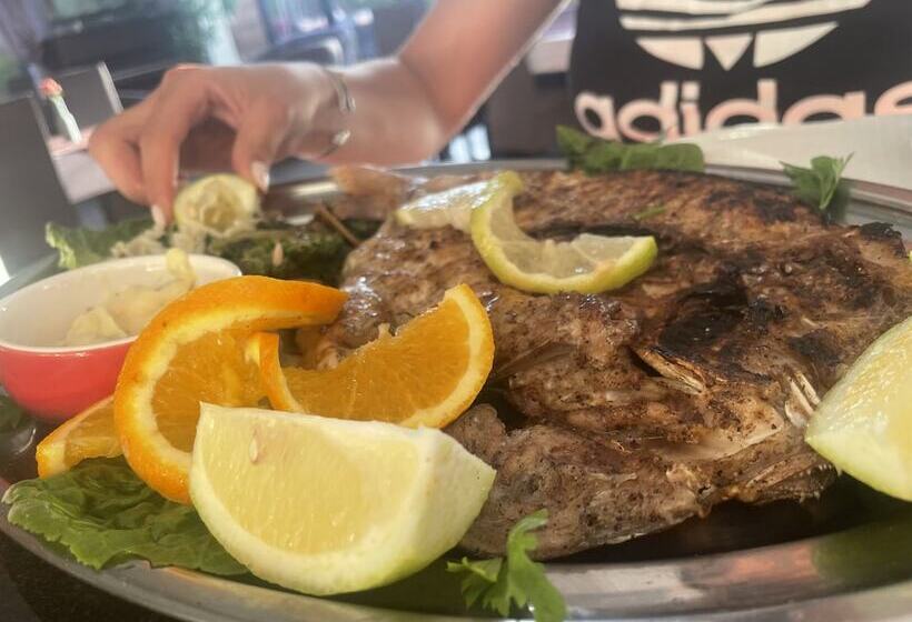 酒店 Auberge Oualidia Dream