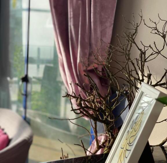 酒店 Auberge Oualidia Dream