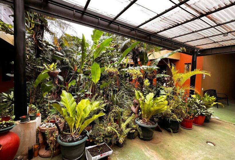 فندق Belen Suites