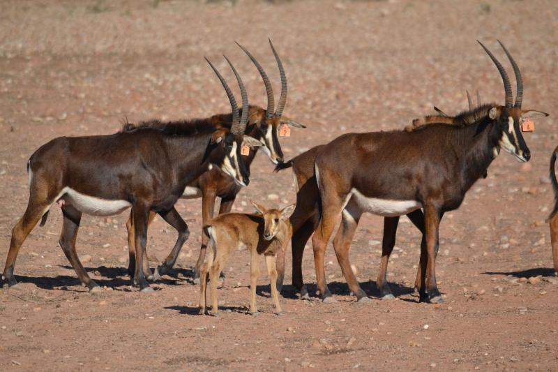 هتل Berluda Farmhouse And Cottages