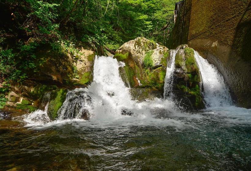 ホテル Shima Onsen Hinatamikan