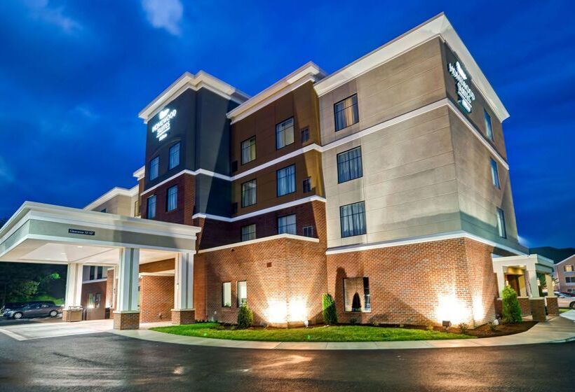فندق Homewood Suites By Hilton Christiansburg