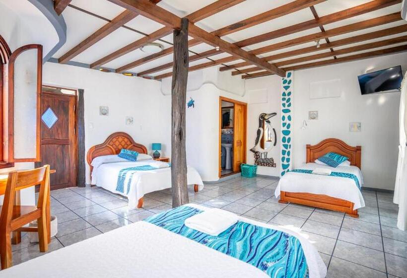هتل Maidith Galapagos Inn