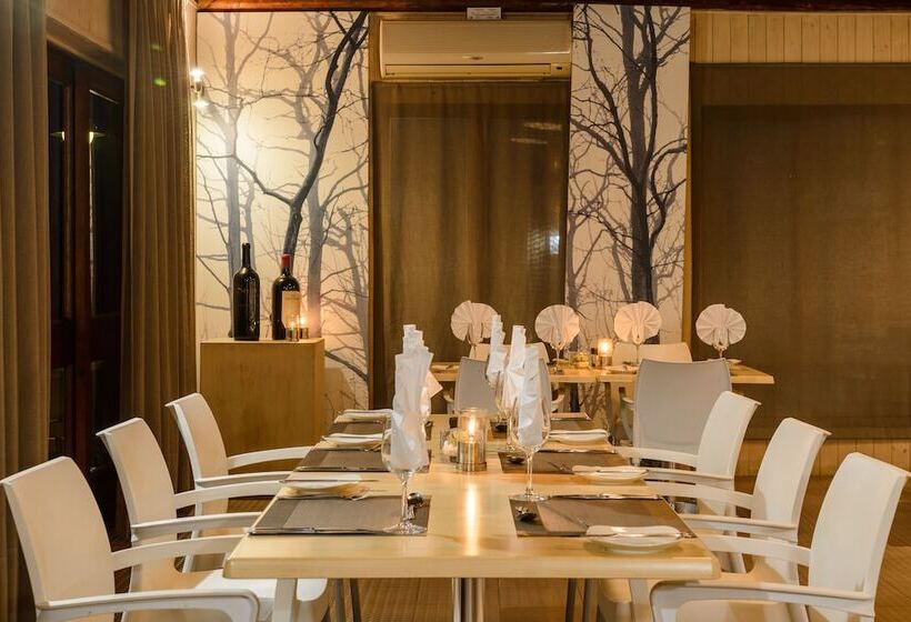 호텔 Mongena Private Game Lodge