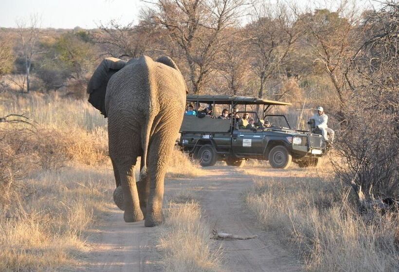 호텔 Mongena Private Game Lodge