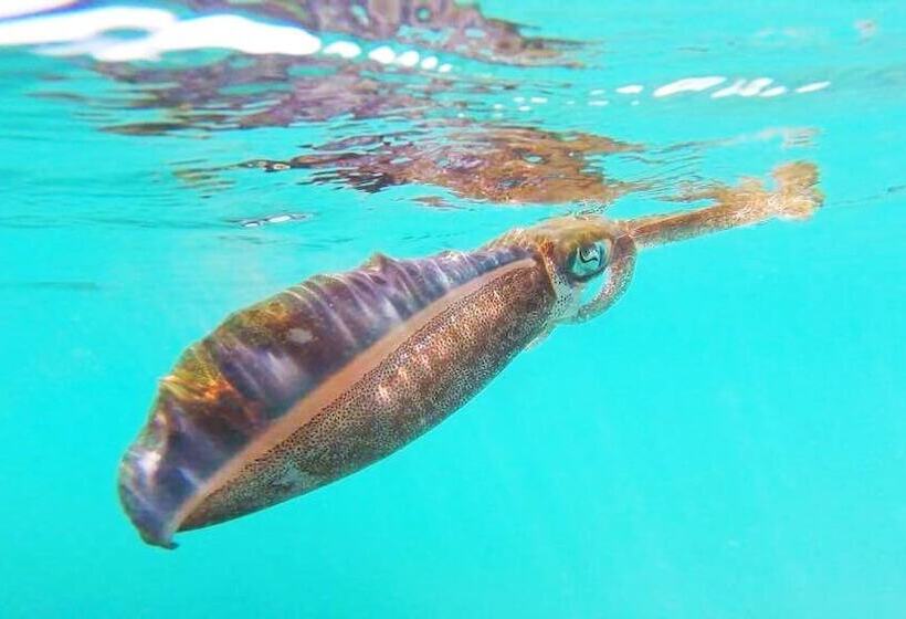 فندق Sangthian Beach Resort