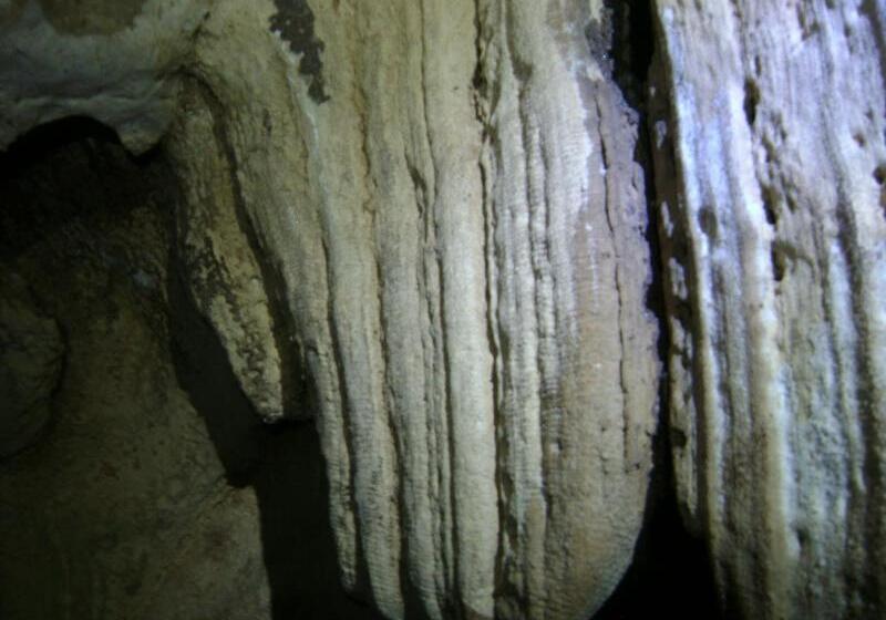 酒店 Table Rock Jungle Lodge