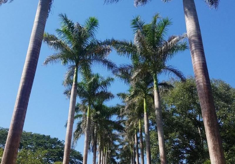 酒店 Table Rock Jungle Lodge