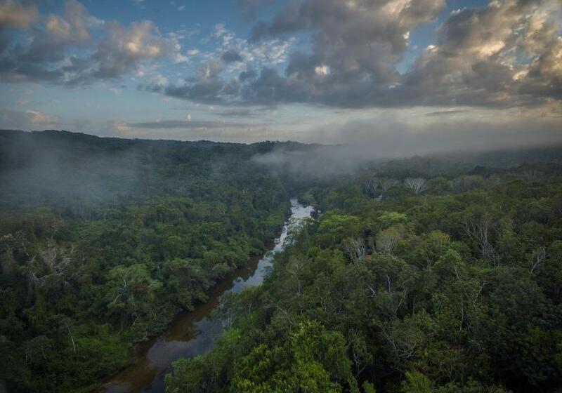 酒店 Table Rock Jungle Lodge