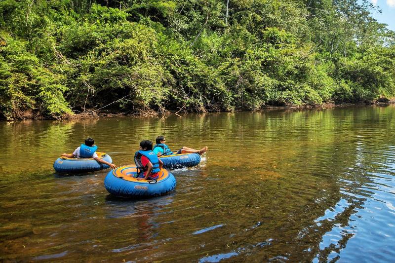 酒店 Table Rock Jungle Lodge