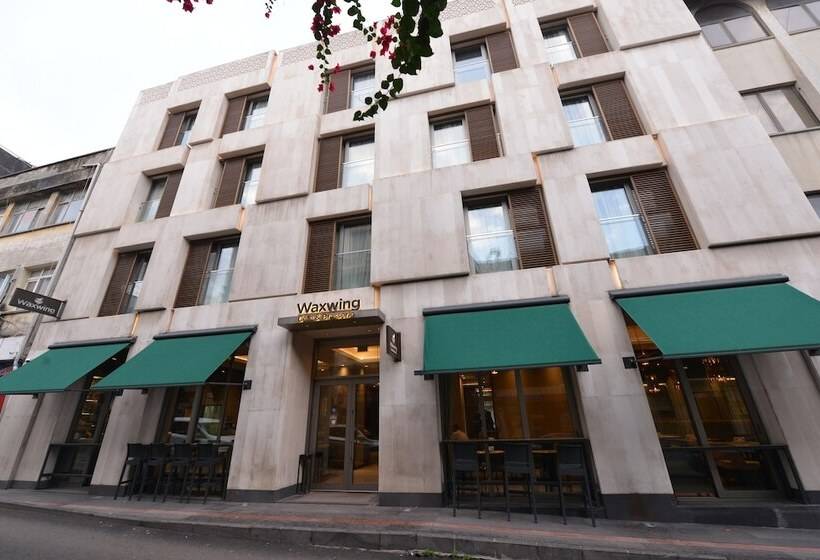 בית מלון כפרי Waxwing