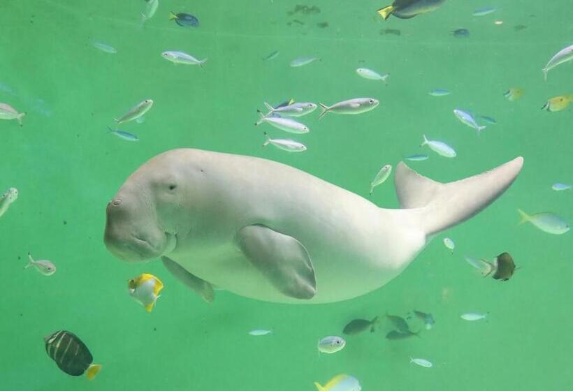 酒店 Ooedo Onsen Monogatari Premium Toba Saichoraku