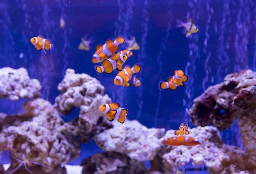 酒店 Ooedo Onsen Monogatari Premium Toba Saichoraku