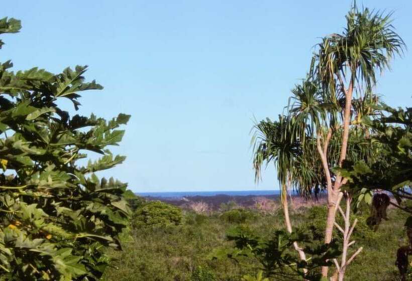 Kirpal Meditation And Ecological Center