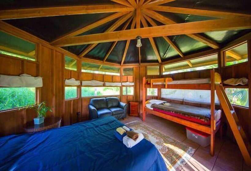 Kirpal Meditation And Ecological Center