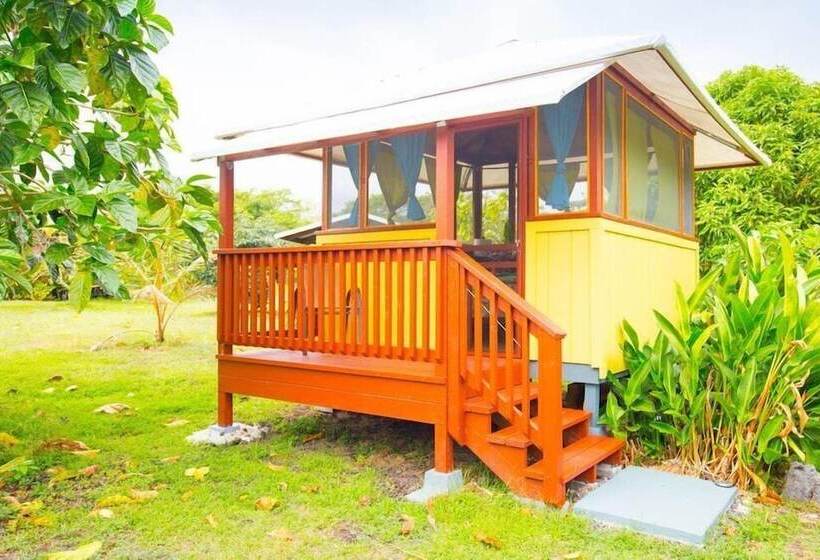 Kirpal Meditation And Ecological Center