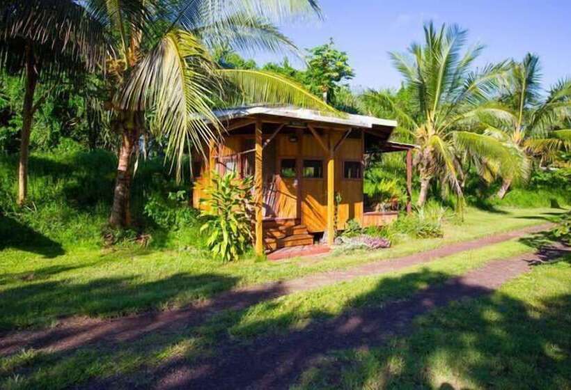 Kirpal Meditation And Ecological Center