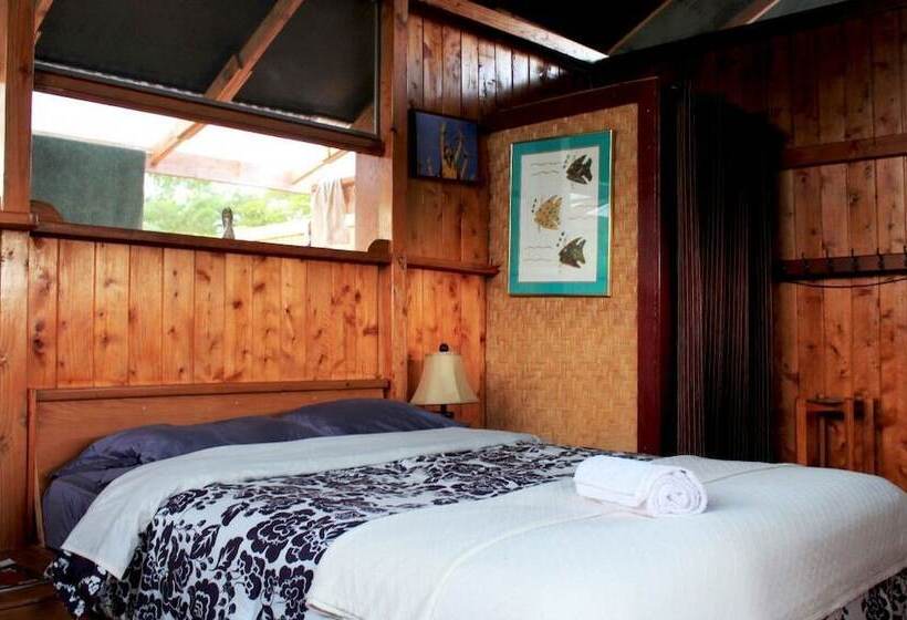 Kirpal Meditation And Ecological Center