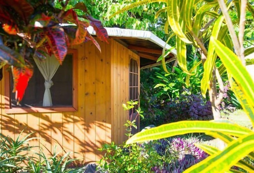 Kirpal Meditation And Ecological Center
