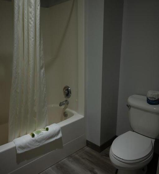 فندق على الطريق The Beaverhead Lodge