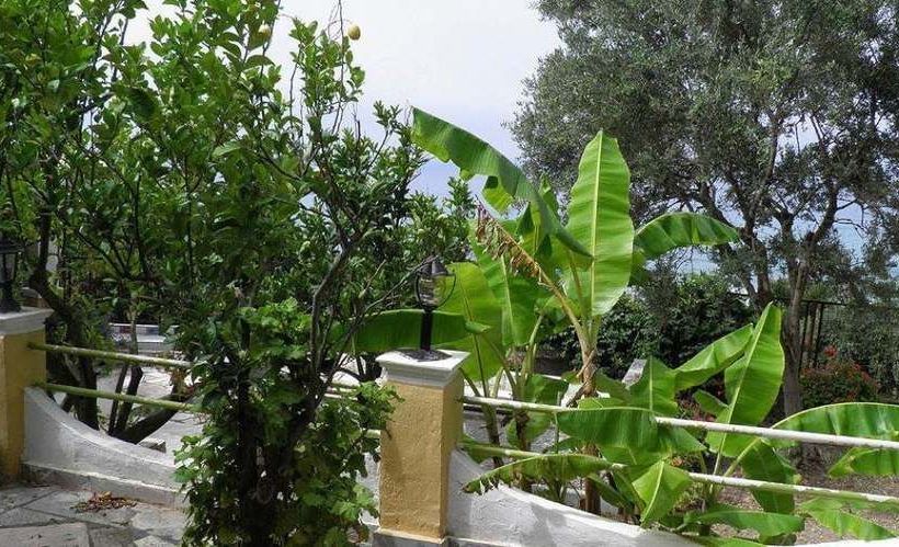 Akis Apartments Kontogialos Pelekas