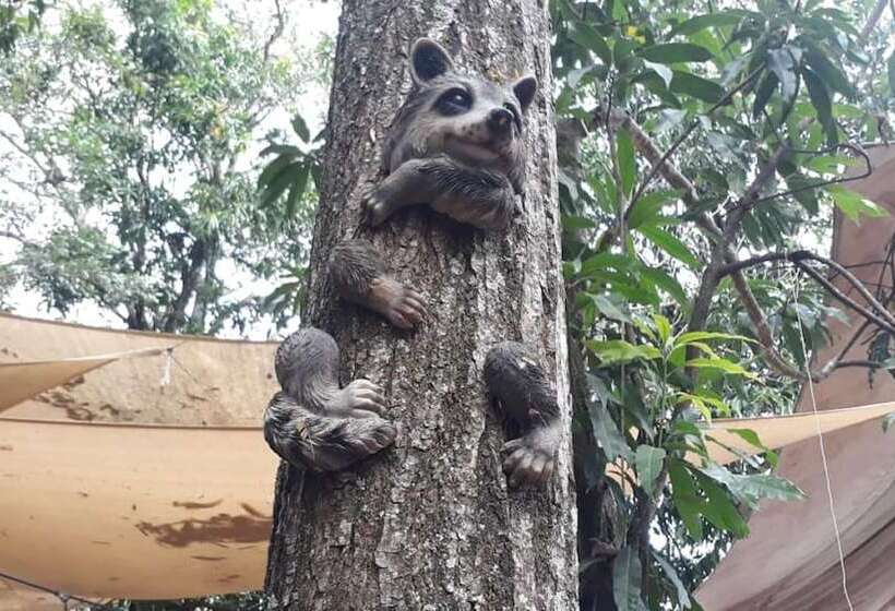 ペンション Casa 1800 Suchitoto