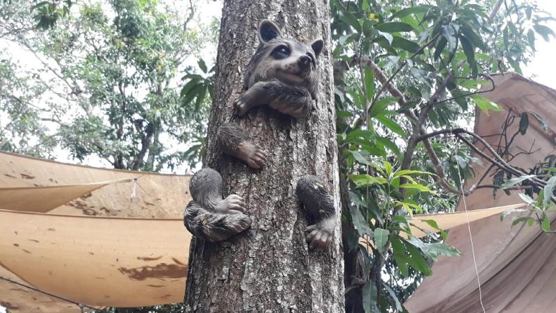 ペンション Casa 1800 Suchitoto