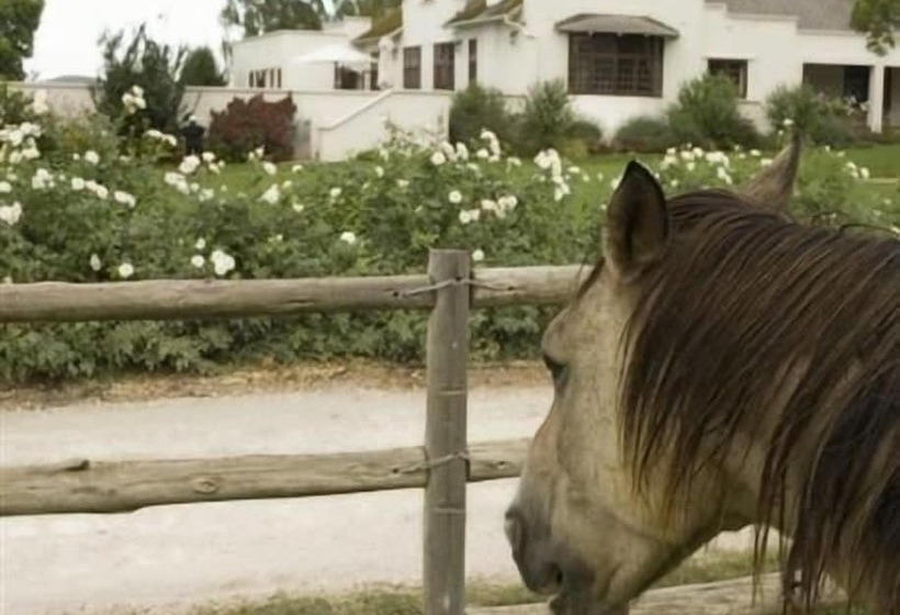 פנסיון Excelsior Manor Guesthouse