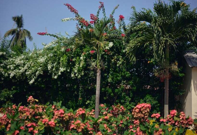 پانسیون Pelican Residence